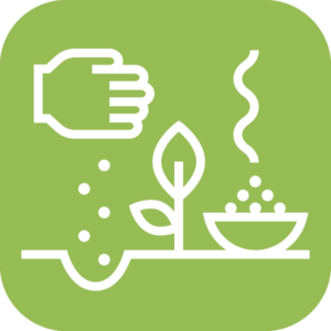 Sustainable Tobacco Program